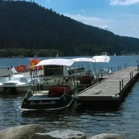 Apartment La Perle Au Bord De La Riviere Gerardmer