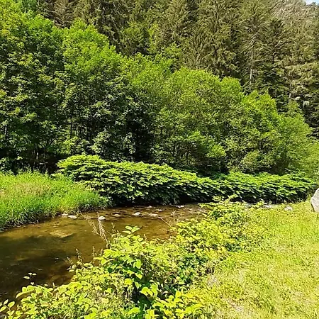 La Perle Au Bord De La Riviere Apartamento Gérardmer
