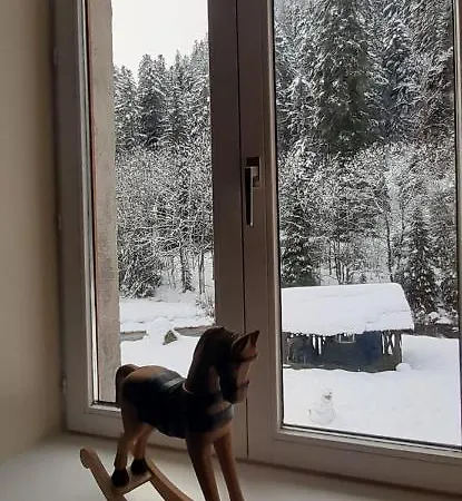 La Perle Au Bord De La Riviere Gerardmer